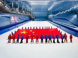 西部最新排名解析：快船连胜势头强劲，湖人意外连败，太阳蓄势待发冲击前五